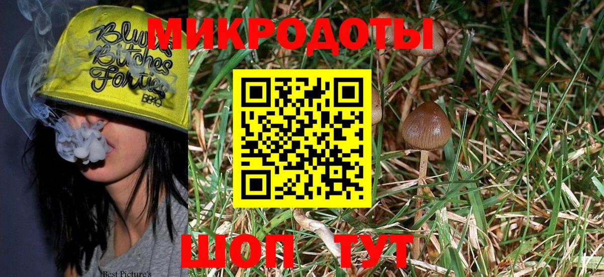Псилоцибиновые грибы Magic Shrooms Печора